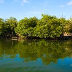 En BJ′s Backyard, en Oak Ridge, también podrá organizar paseos hasta destinos más lejanos como islotes de Barbareta, Santa Helena y Pigeon Cay. En BJ′s Backyard, en Oak Ridge, también podrá organizar paseos hasta destinos más lejanos como islotes de Barbareta, Santa Helena y Pigeon Cay.