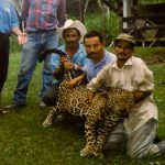 Entre las causas que amenazan al felino están la pérdida de hábitat (en especial en un país con conflictos agrarios). Panthera instruye a ganaderos y campesinos para cambiar el modo en que piensan sobre el jaguar. Imagen proporcionada por J.C. Carrasco