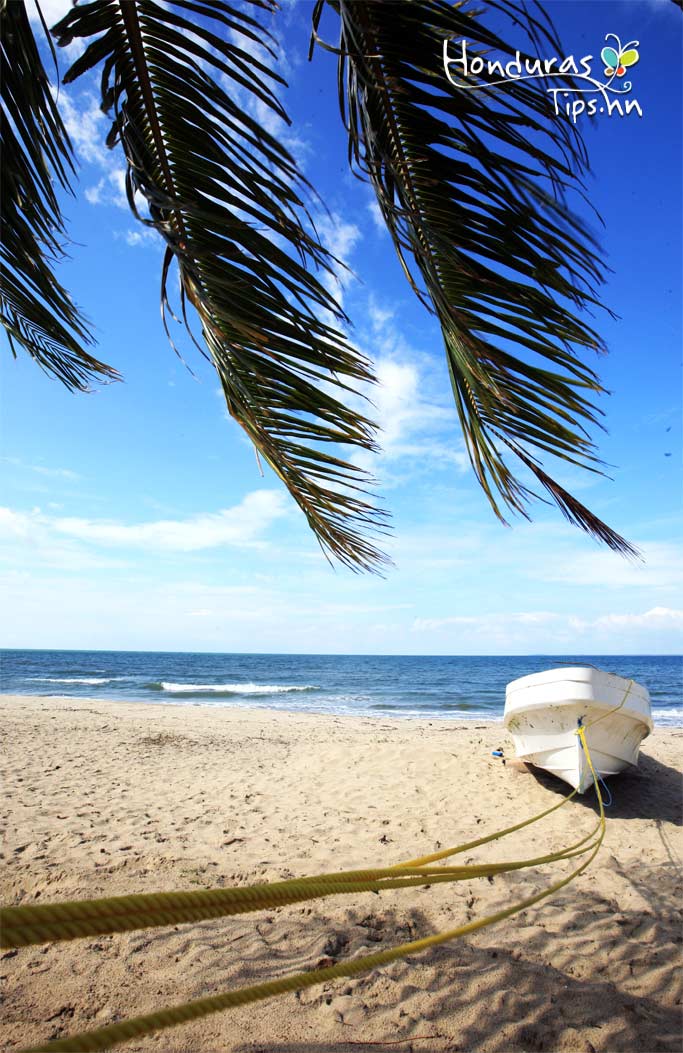 La playa de Campamento Honduras Tips