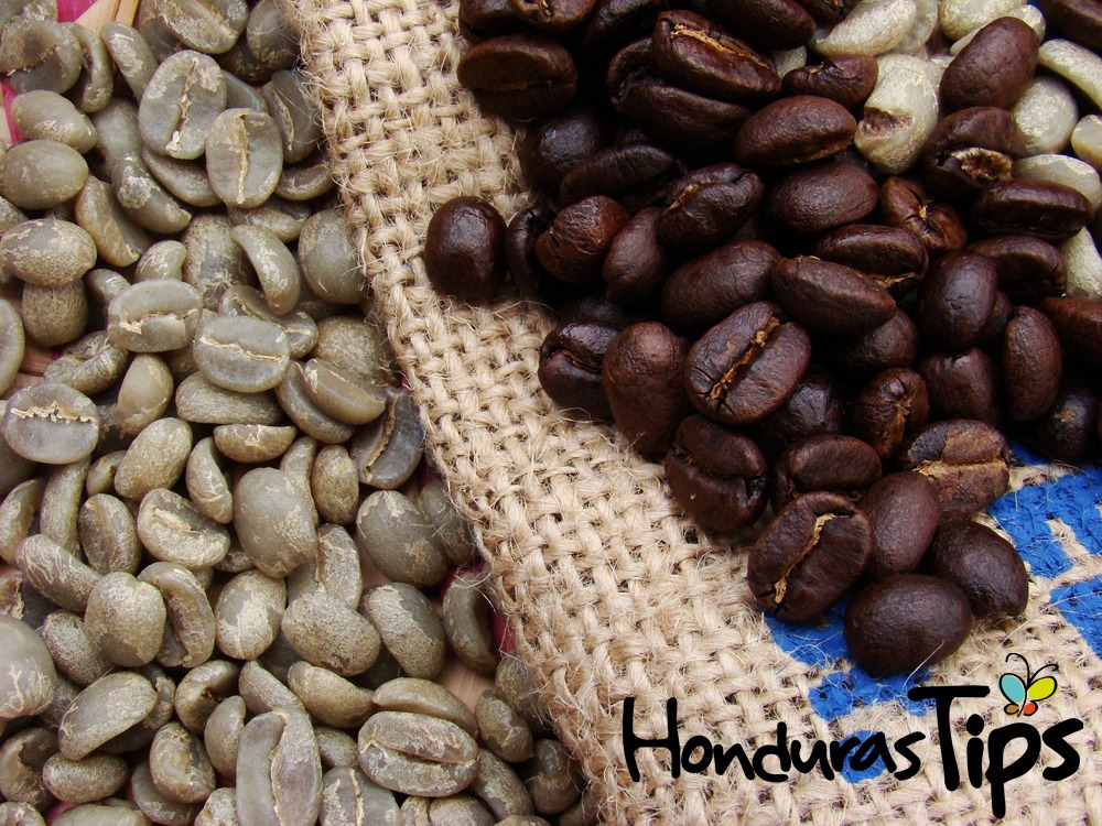 Un buen café se reconoce desde el grano hasta el último sorbo.