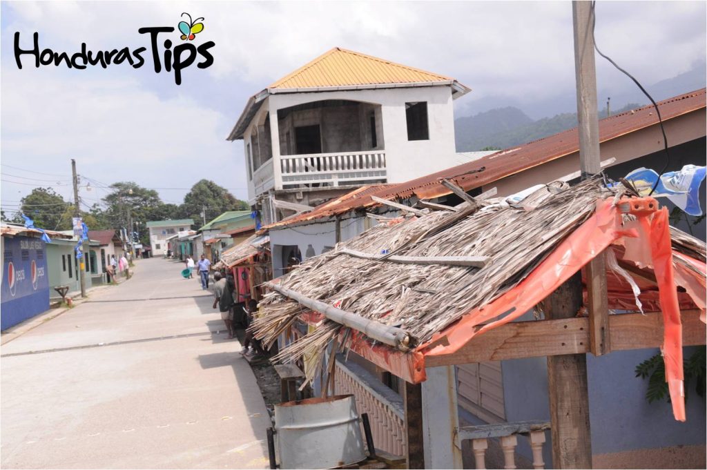 ¿Por qué visitar La Ceiba?