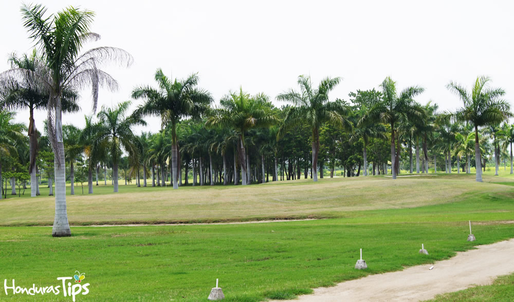 San Pedro Sula cuenta con áreas donde el color verde termina siendo el protagonista. Para muestra esta campo de golf ubicado en La Lima, Cortés.