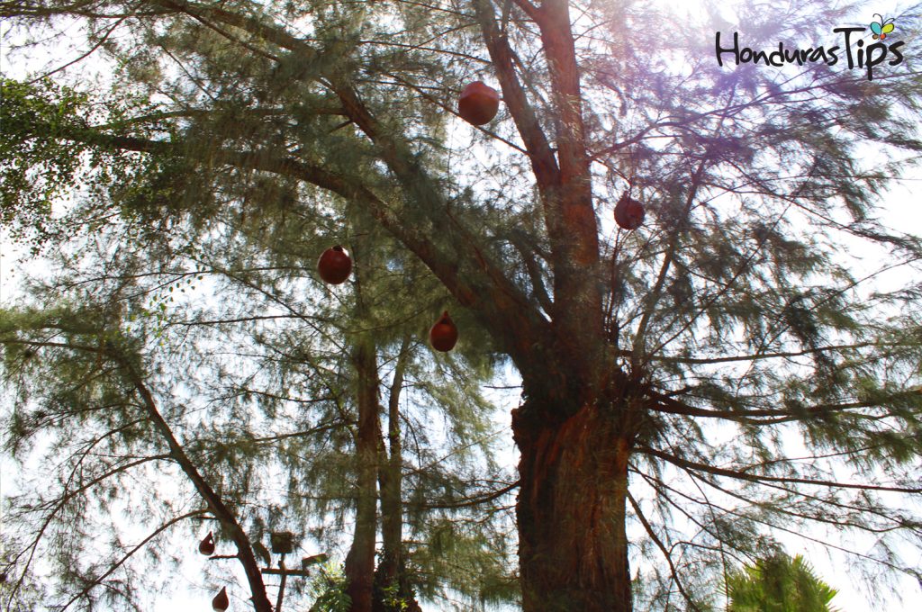 El Progreso: Más que una ciudad de paso