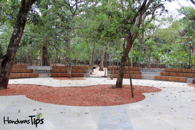 El anfiteatro está ubicado en el corazón del Jardín Botánico.