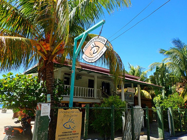 Debes saber escoger una buena tienda de buceo...Claro en la isla están las más baratas del Caribe.
