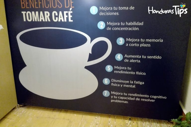Museo-Cafe-(2)