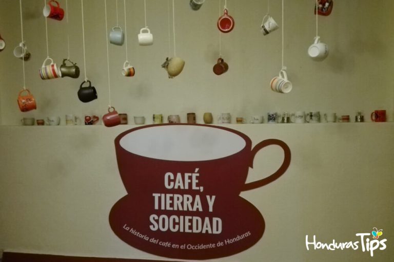 Museo-Cafe-(6)