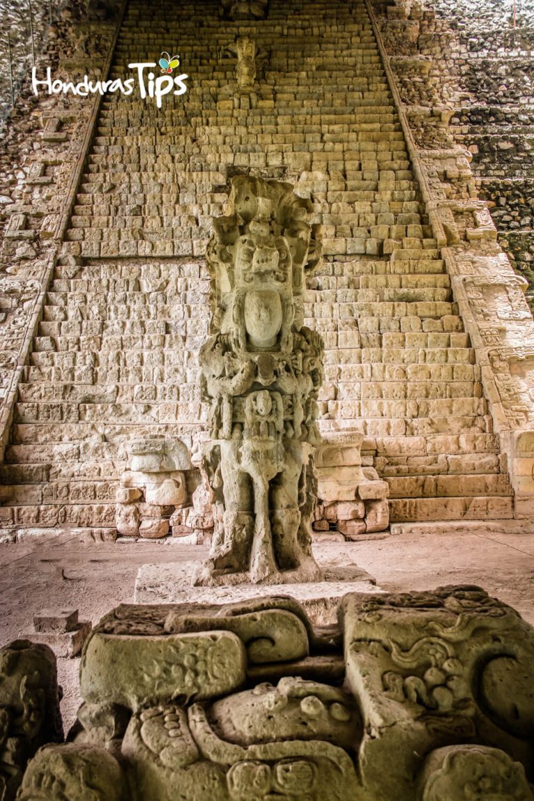 Hieroglyphic Stairway at Mayan Ruins - Copan Archaeological Site, Honduras
