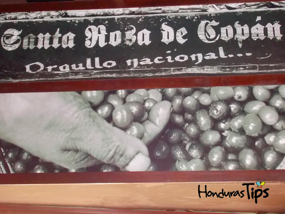 Cafeteando por Santa Rosa de Copán