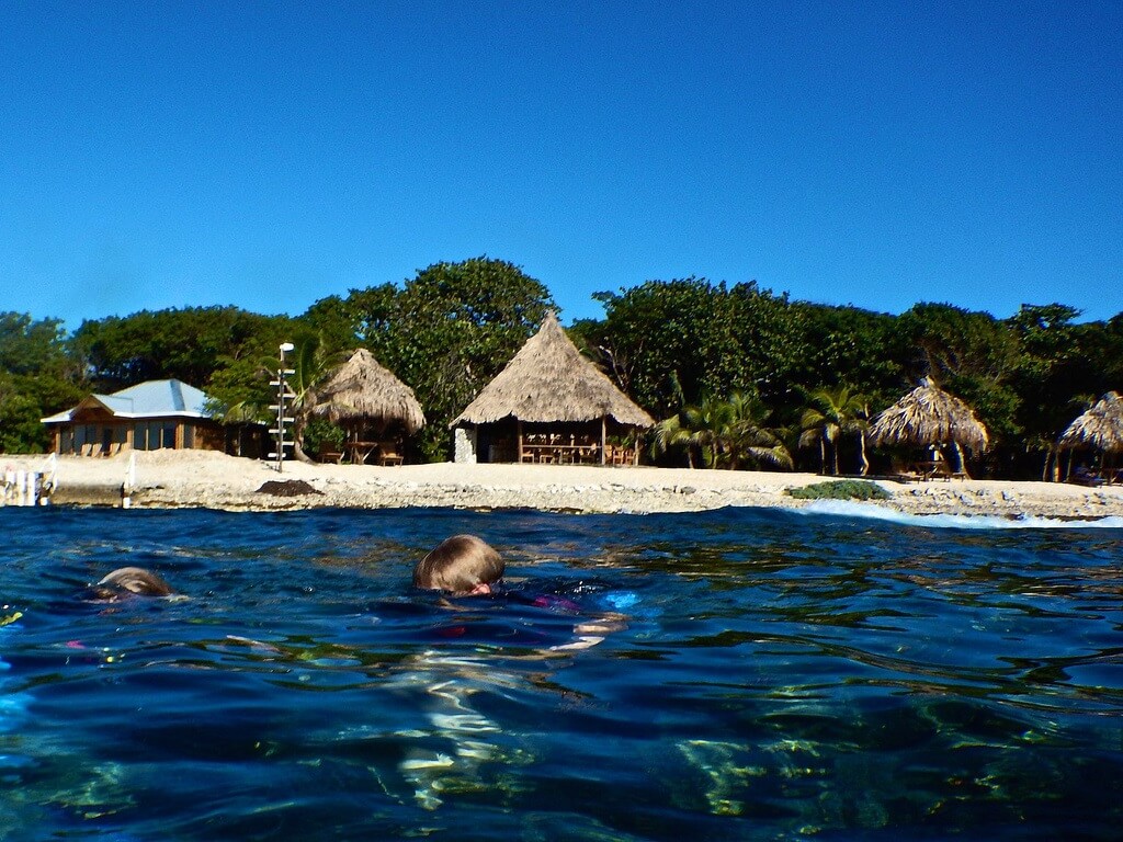 Once Sitios Para Aprender A Bucear En Utila