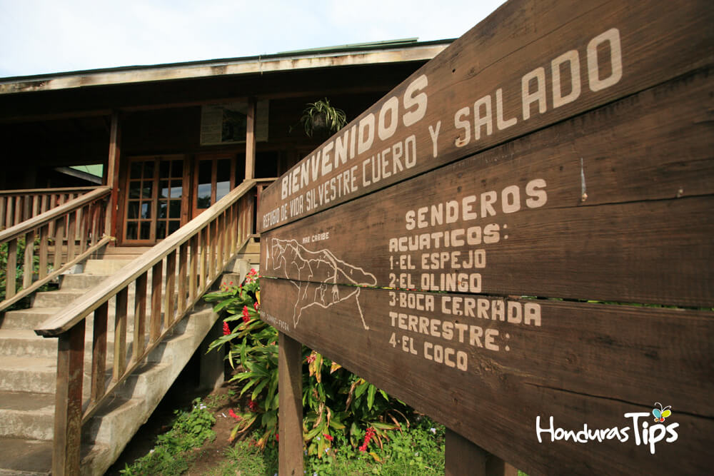 Refugio de Vida Silvestre Cuero y Salado, un encanto natural de Honduras