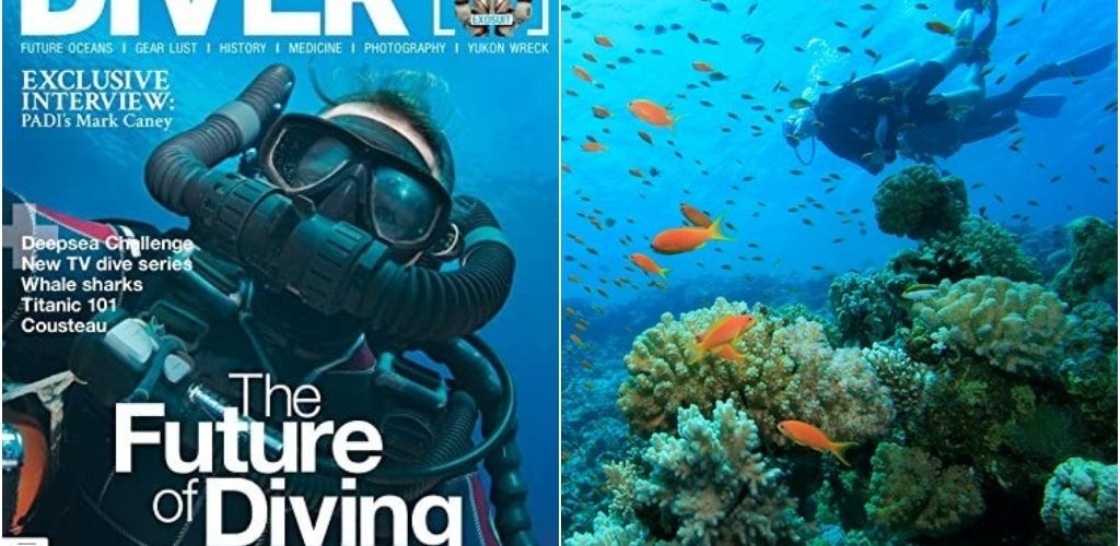Revista de Dive Magazine.