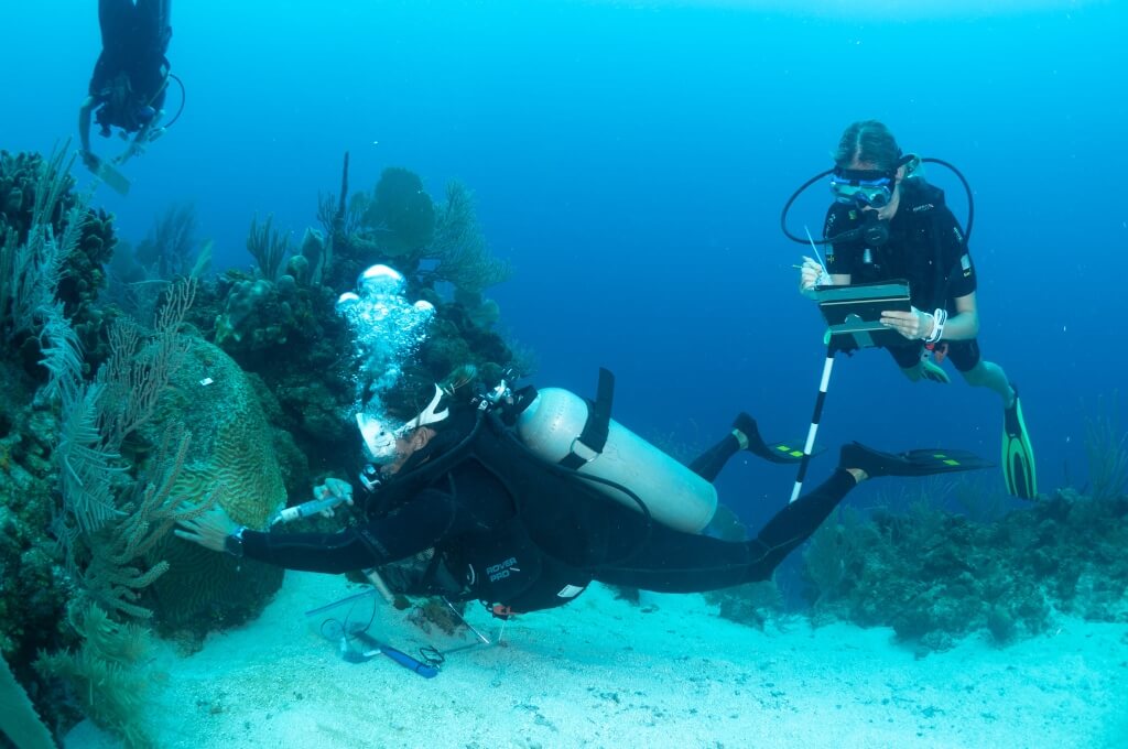 El Parque Nacional Sandy BayWest End, reserva protegida de I.B